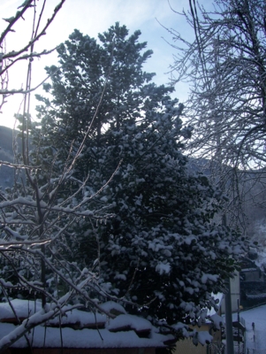  Image name: molino capodanno  2009 303 (203).jpg 
 width: 301 pixel 
 height: 400 pixel 
 Size: 135607 bytes 
 Click to enlarge 